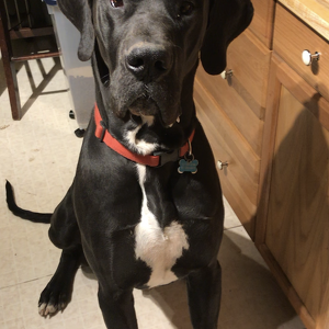 Fundraising Page: Tracy Tinsley